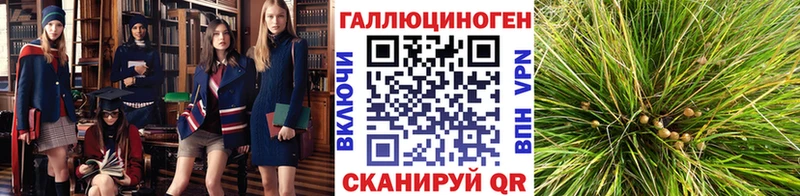 Псилоцибиновые грибы ЛСД  купить закладку  Заринск 